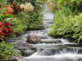 /album/galeria-de-fotos-pagina-inicial2/waterfall-jpg1/